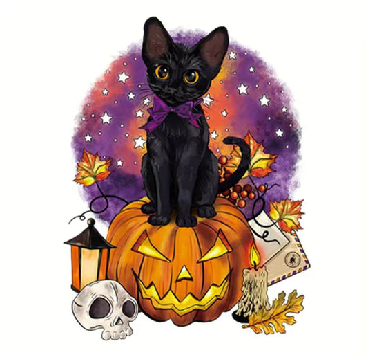 Black Cat on Pumpkin